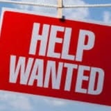 Additional grooming photo from Wunderful Tails Mobile Pet Salon