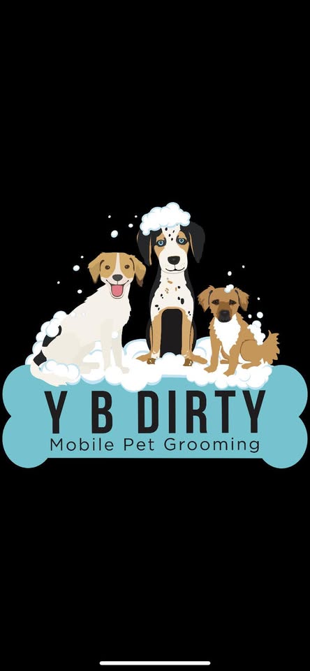Y B Dirty Mobile Grooming