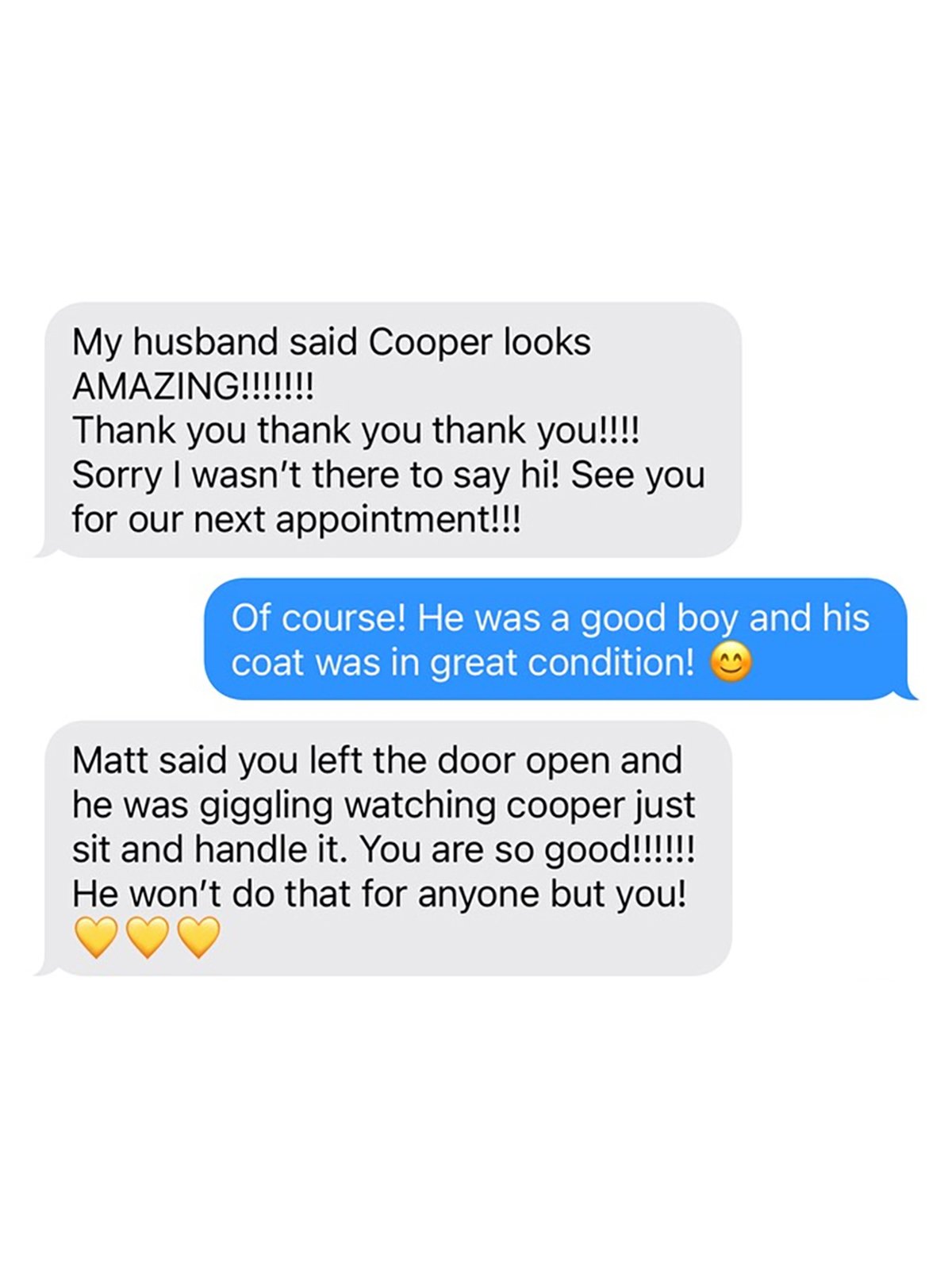 Dog after mobile grooming by Yee Paw Mobile Groomin'