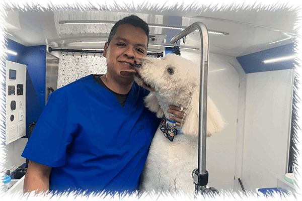 Your Pets Are So Fine homepage hero image