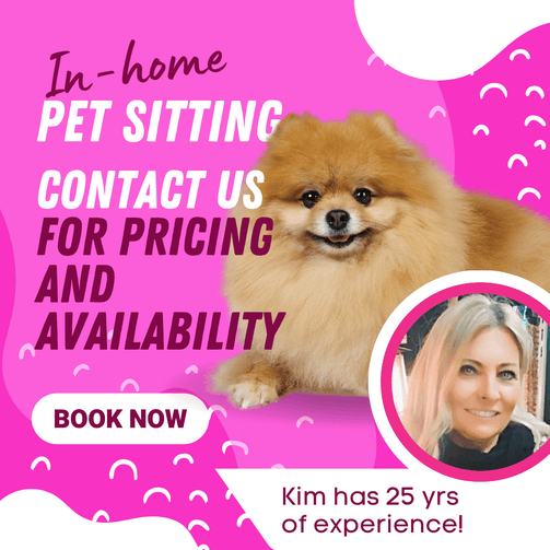 Yuppy Puppy Mobile Pet Grooming gallery image 3