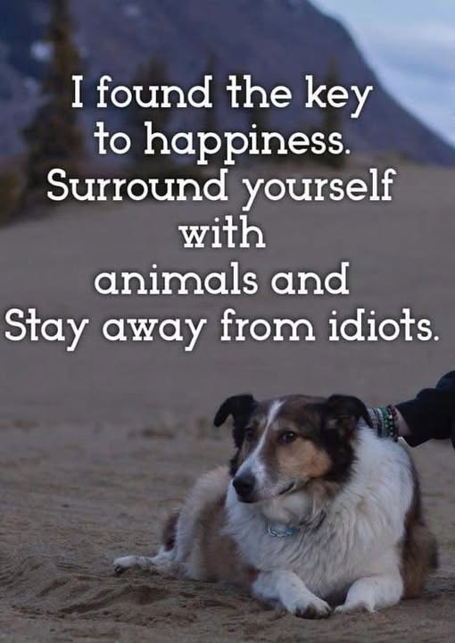 Zen Dog Mobile Groom Spa