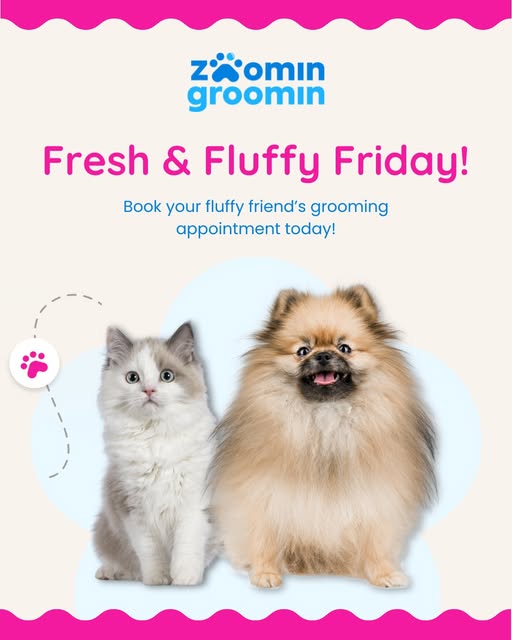 Zoomin Groomin appointment promotion