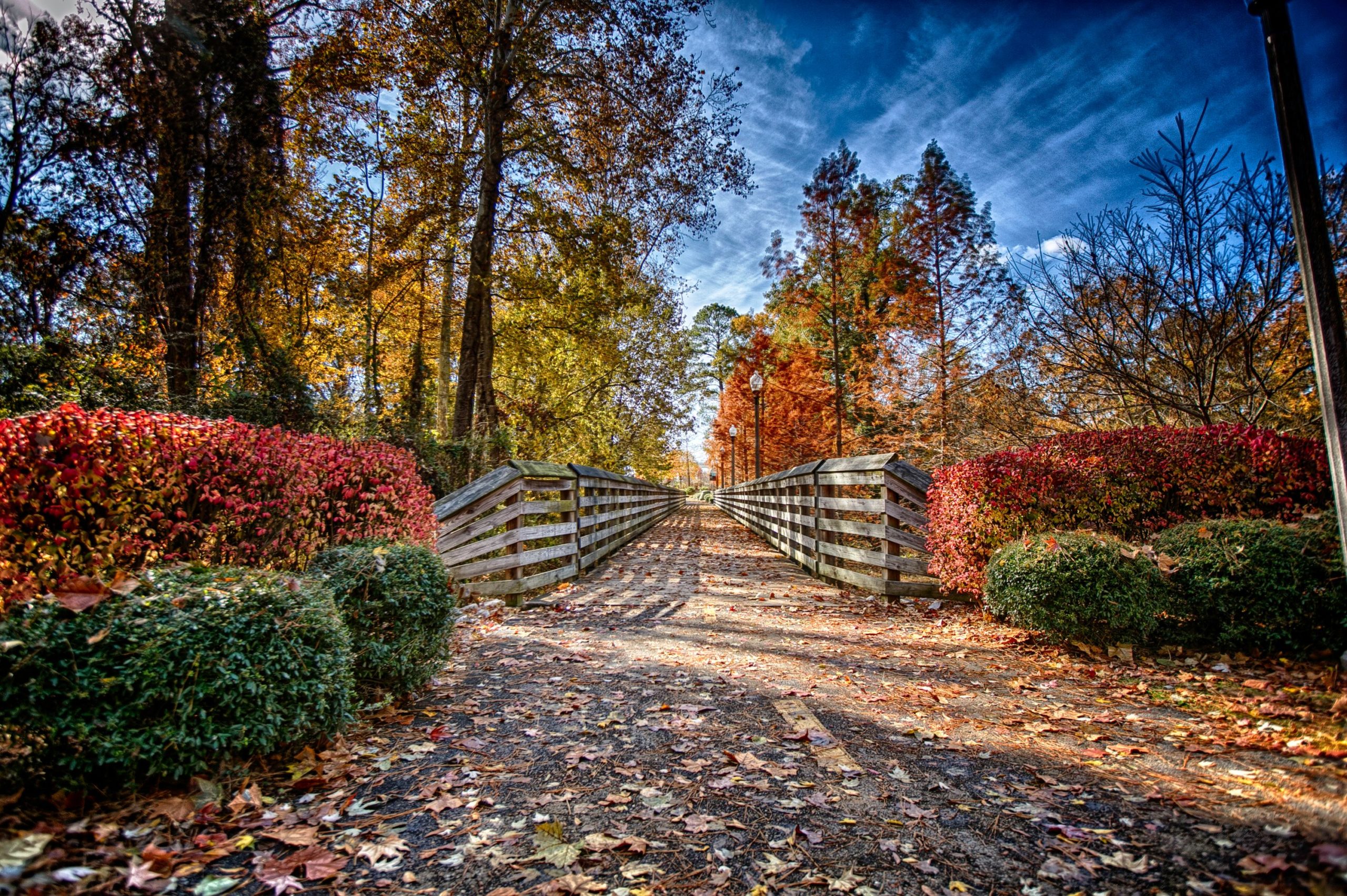 Tuscaloosa Riverwalk trail scene.