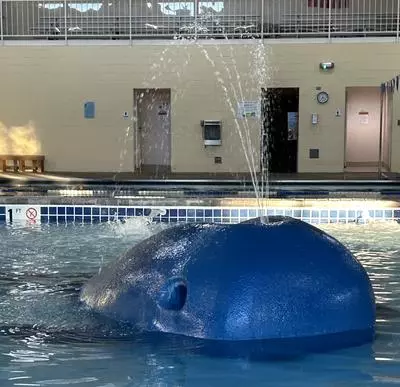 Bill Heddles Recreation Center Tot Pool