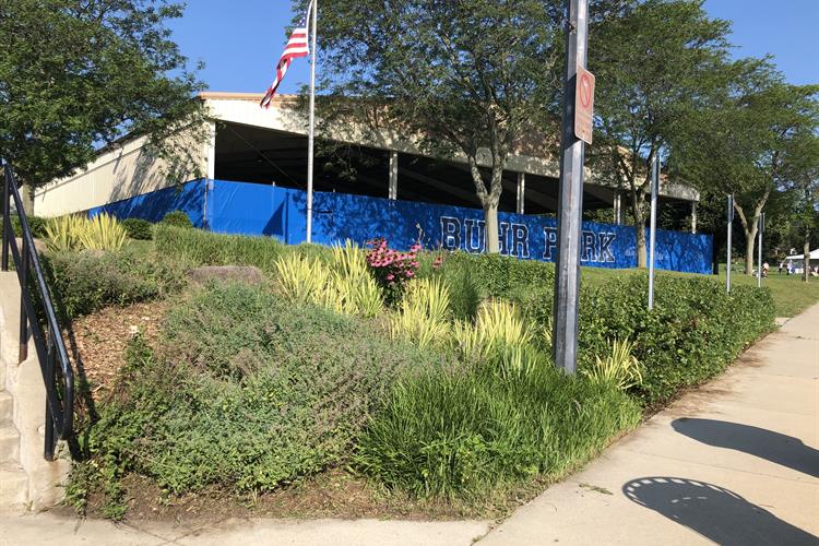 Park view at Buhr Park in Ann Arbor.