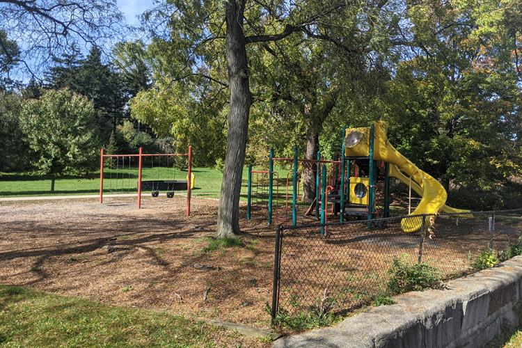 Additional park scene at Buhr Park.