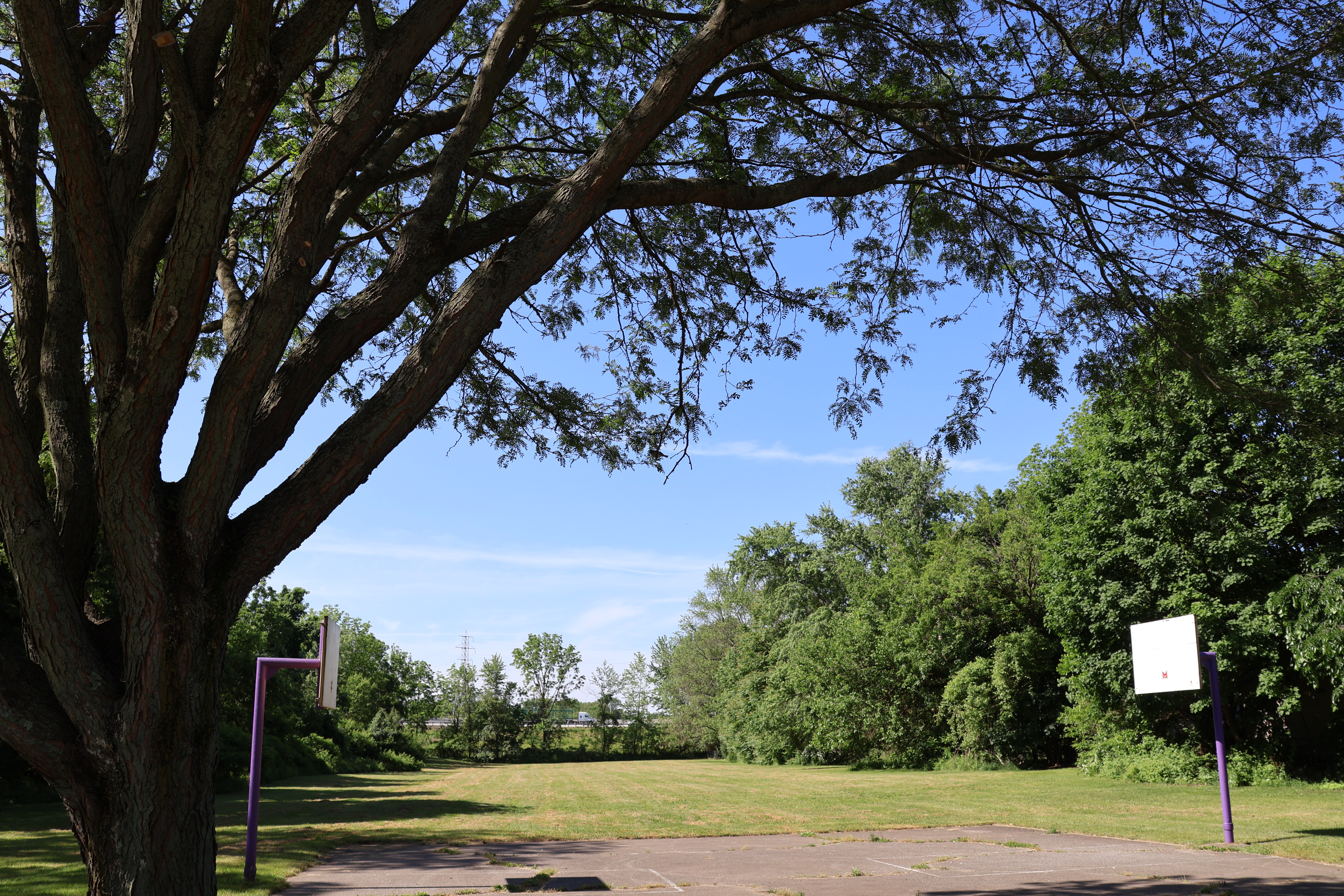Edgewood Park Spray Ground