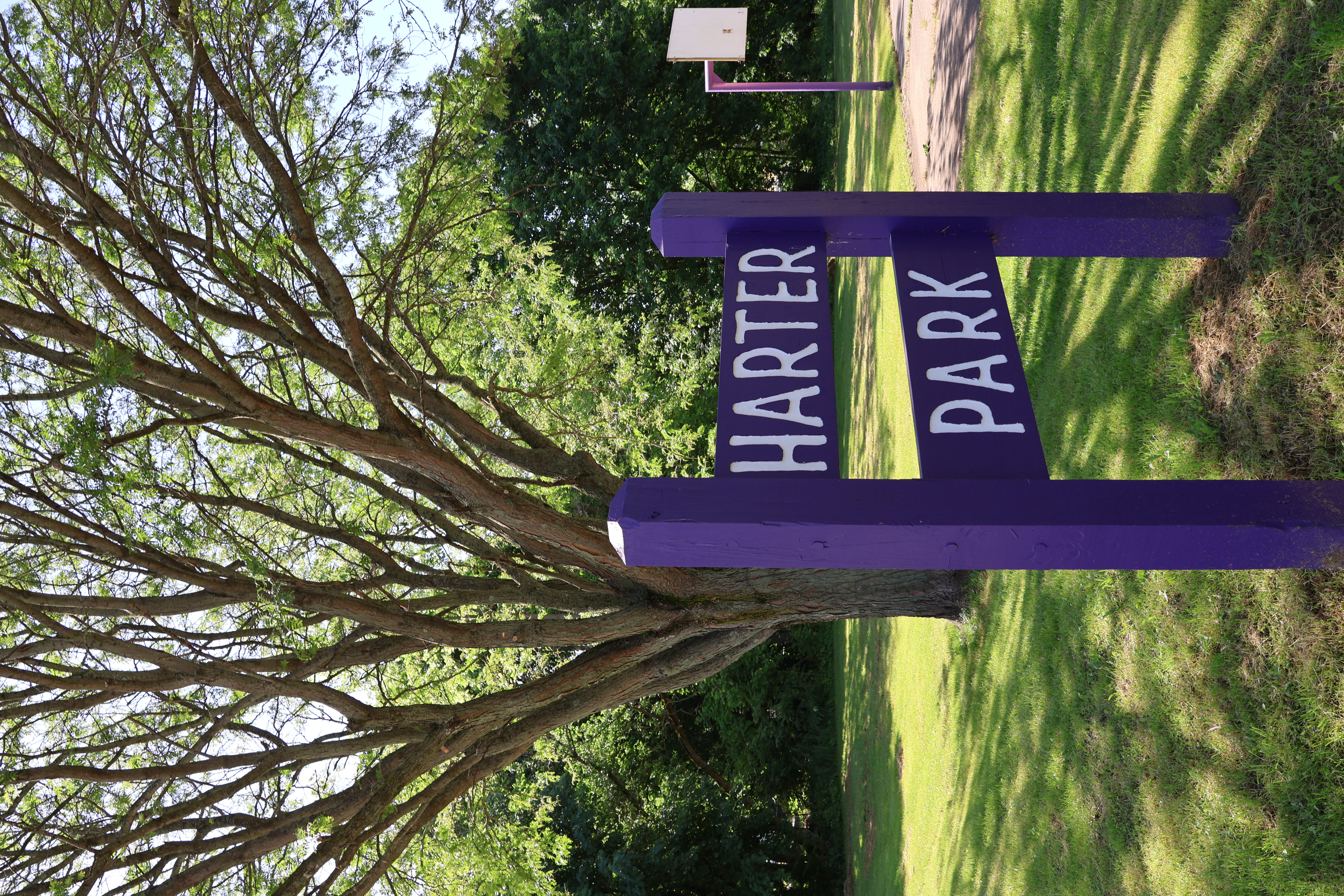 Edgewood Park Spray Ground gallery image 2