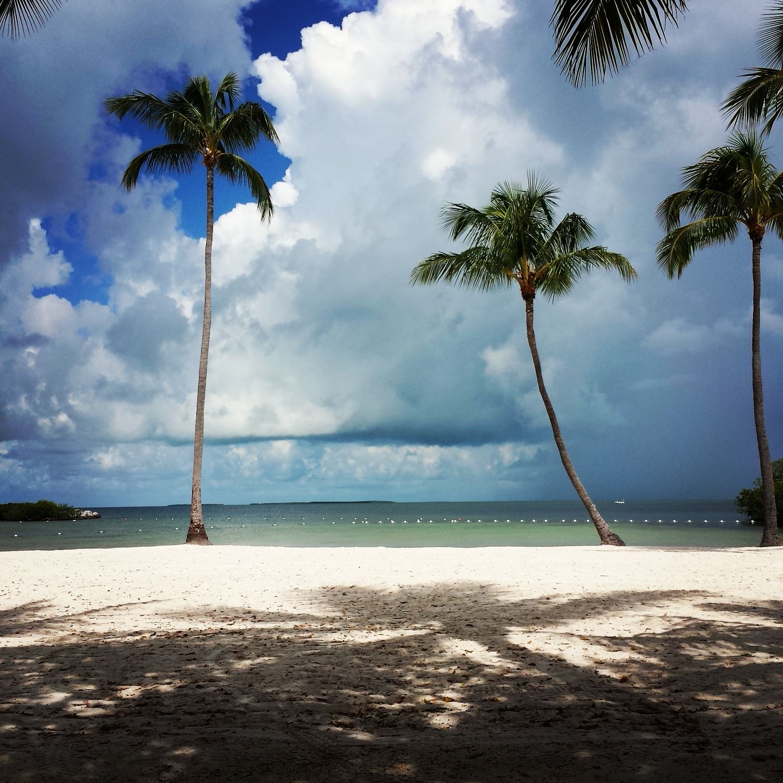 Shallow beach area at Founders Park