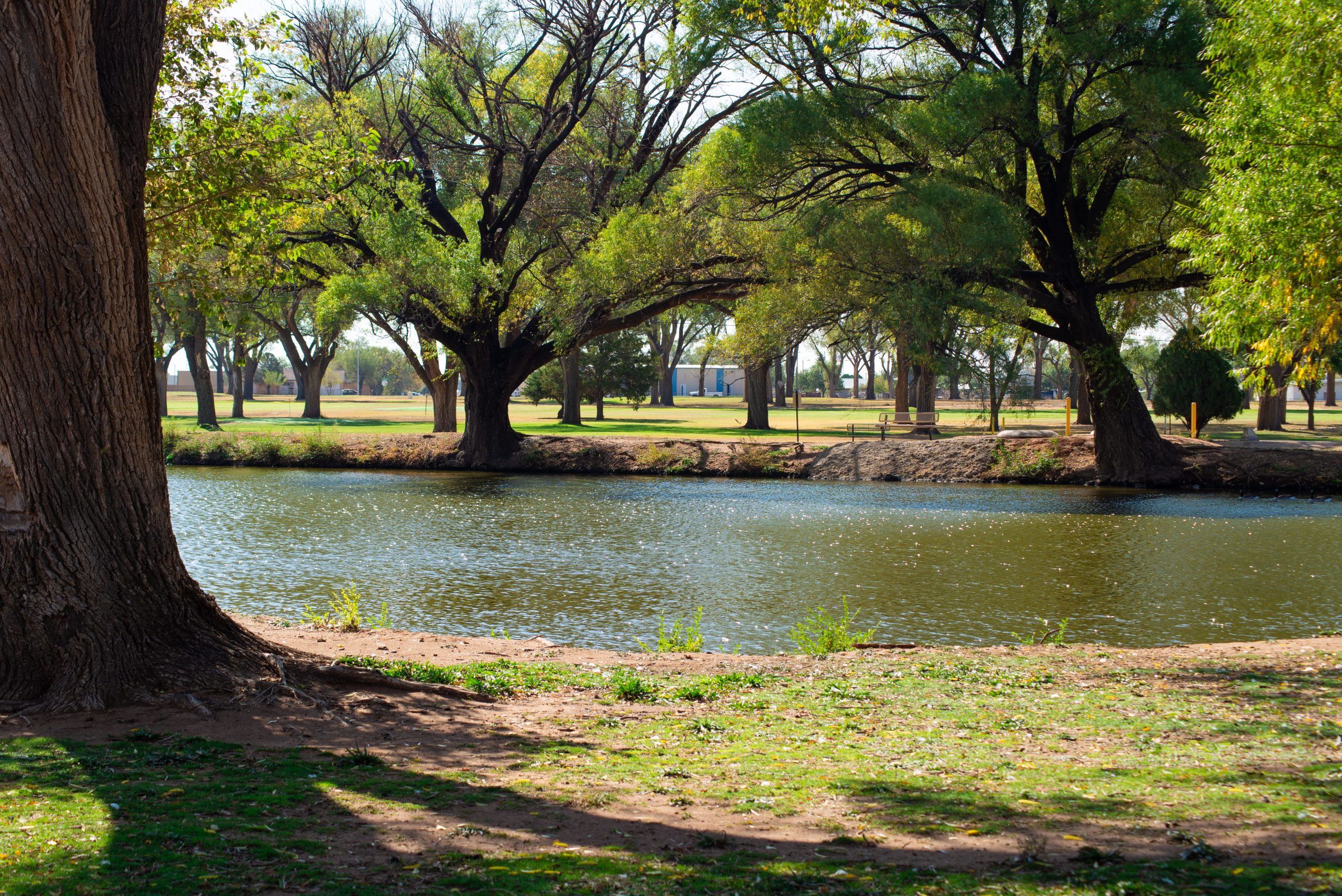 Hillcrest Park in Clovis, where the splash park is located.