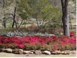 Play area at Honor Heights Park in Muskogee.