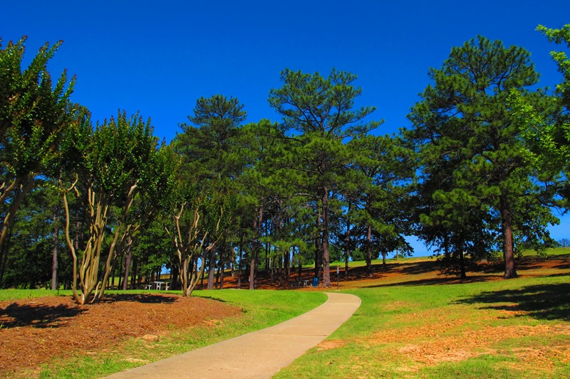 Walking path at Idle Hour Park.