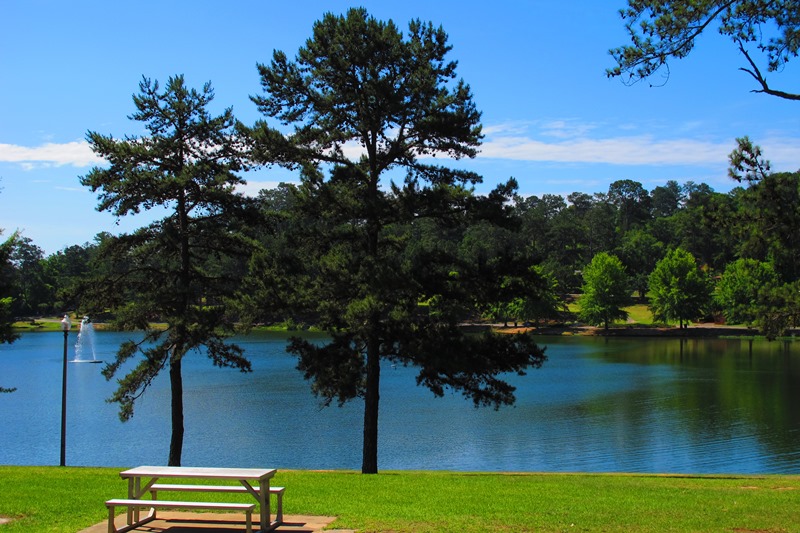 Picnic area at Idle Hour Park.