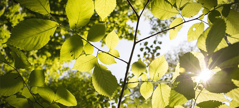 North Street Park Spray Park