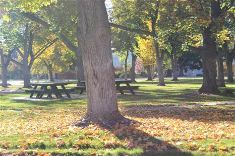 Sacajawea Park official park image.