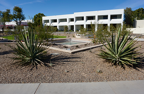 Desert landscape area at Scottsdale Civic Center.