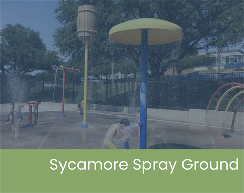 Sycamore Spray Ground