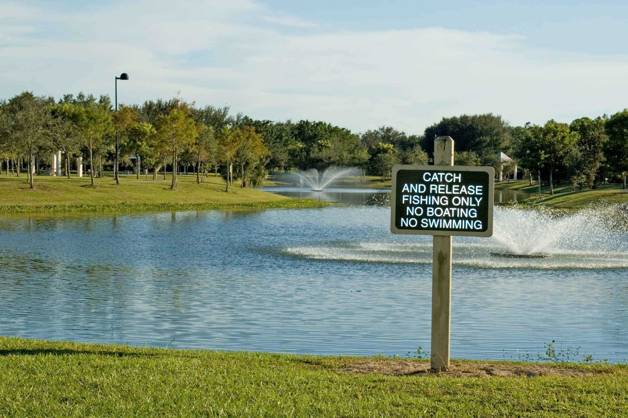 Play and park amenities at Vineyards Community Park.