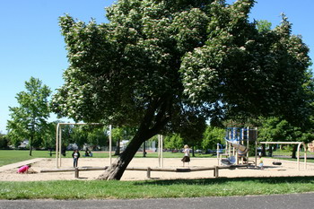 Washington Park Spray Play