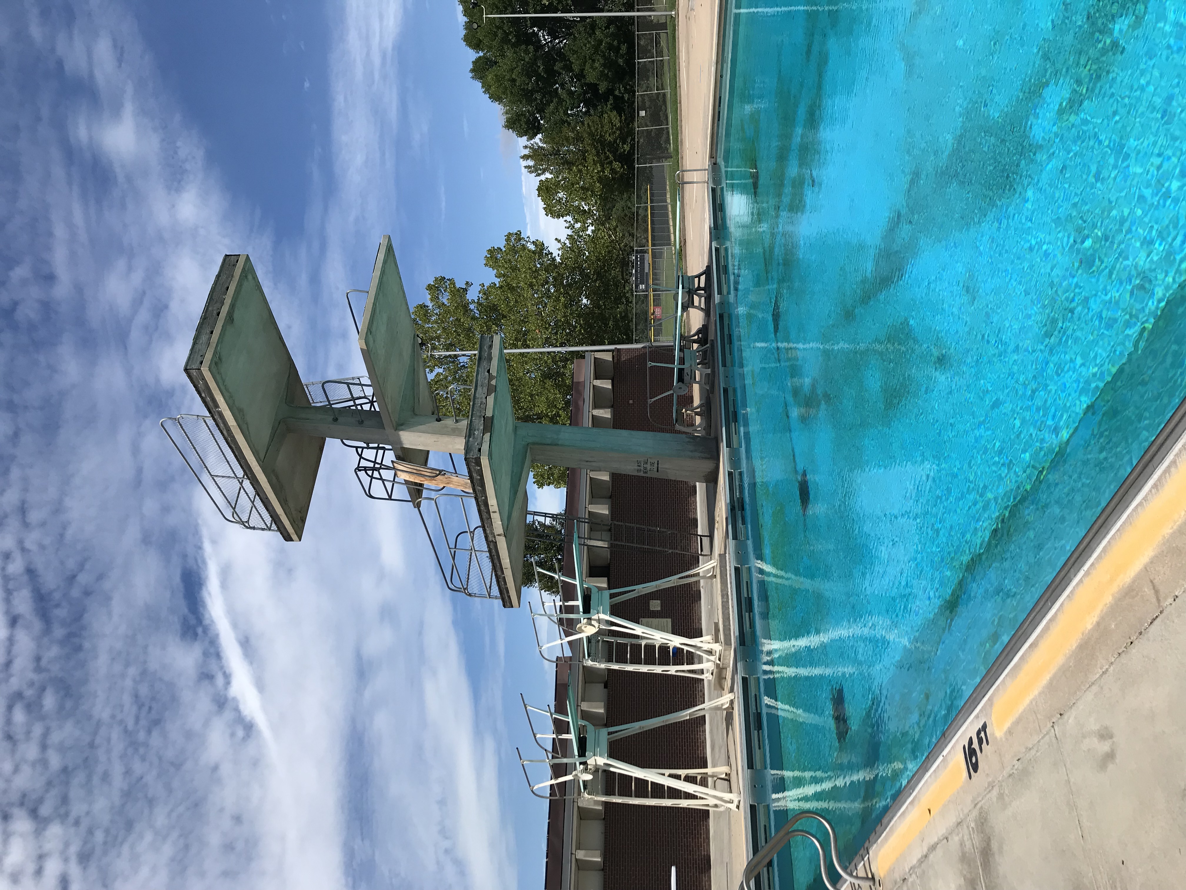 Diving structure at Woods Pool.